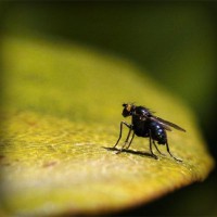 /album/www-excellentotica-pt/photolia-a07-jpg/